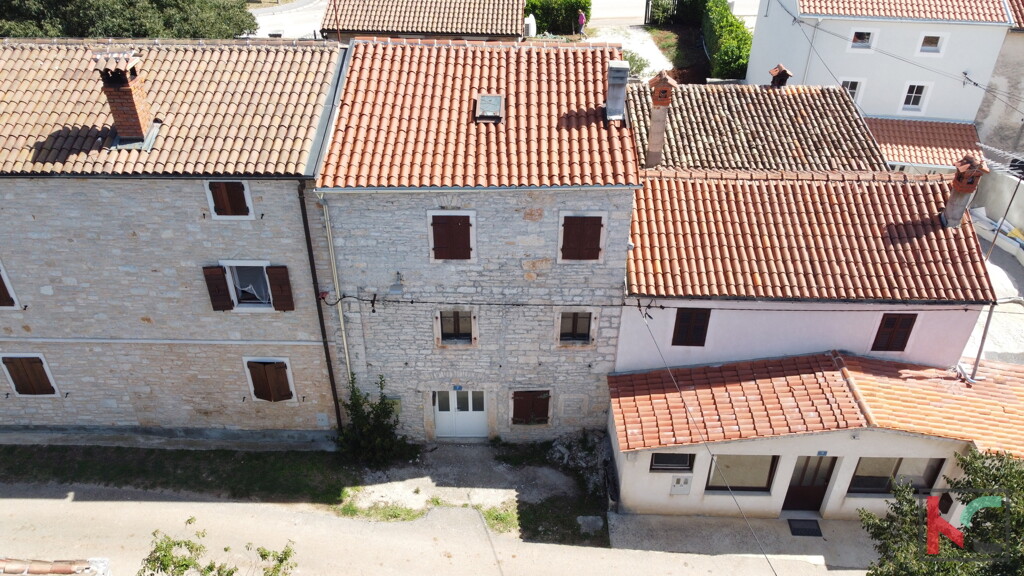 Image 6230724 - 1