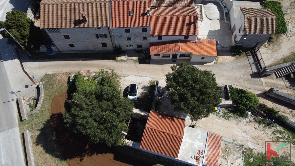 Image 6230724 - 2