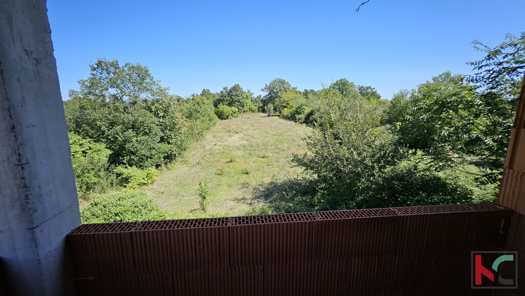 Image 6230725 - 13