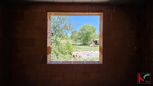 Thumbnail 6230725 - 3