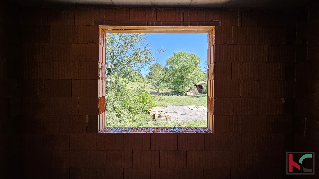 Image 6230725 - 3