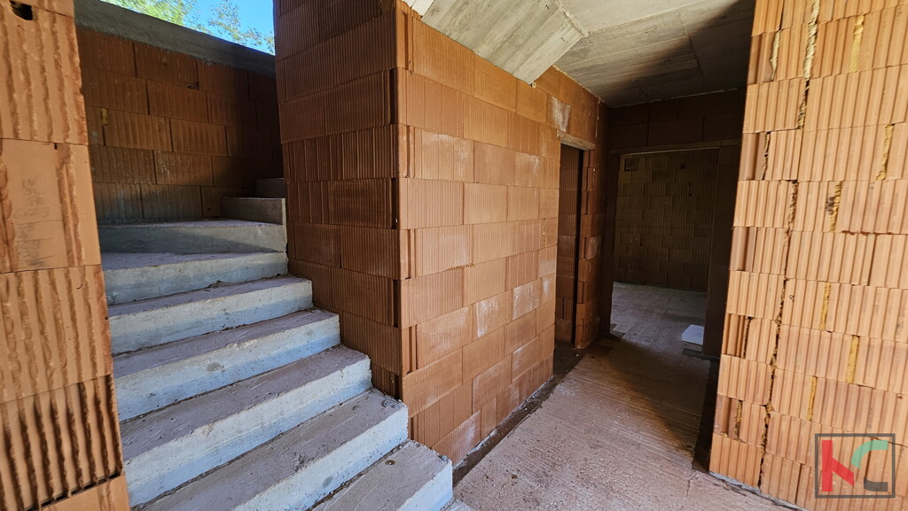 Image 6230725 - 9