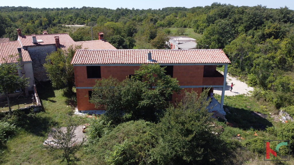 Image 6230725 - 15