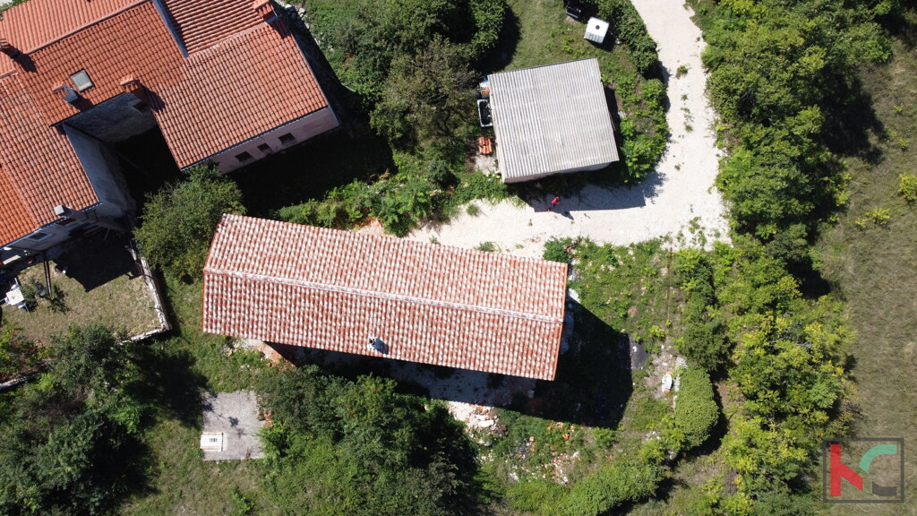 Image 6230725 - 19
