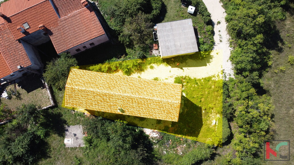 Image 6230725 - 1