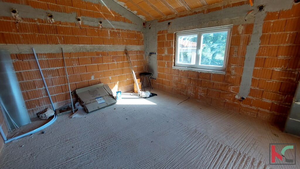 Image 6230726 - 4