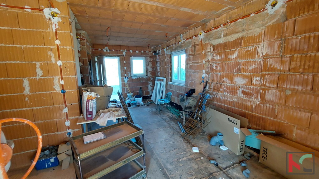 Image 6230726 - 13