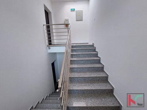 Thumbnail 6230733 - 5