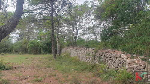 Thumbnail 6230734 - 8