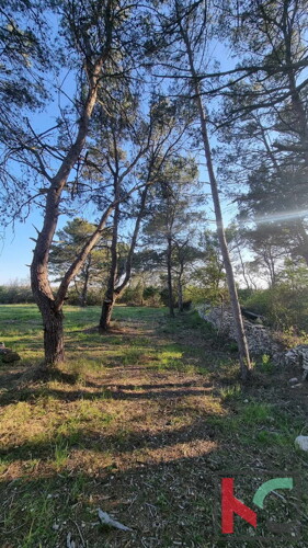 Thumbnail 6230734 - 3