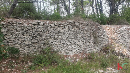 Thumbnail 6230734 - 11