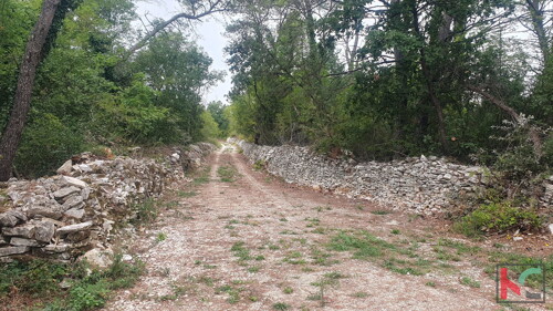 Thumbnail 6230734 - 12
