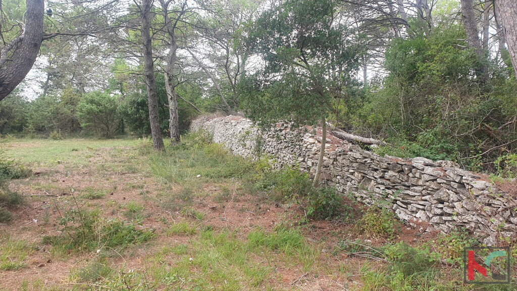 Image 6230734 - 5
