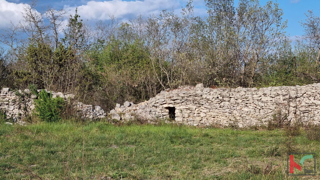 Image 6230734 - 10