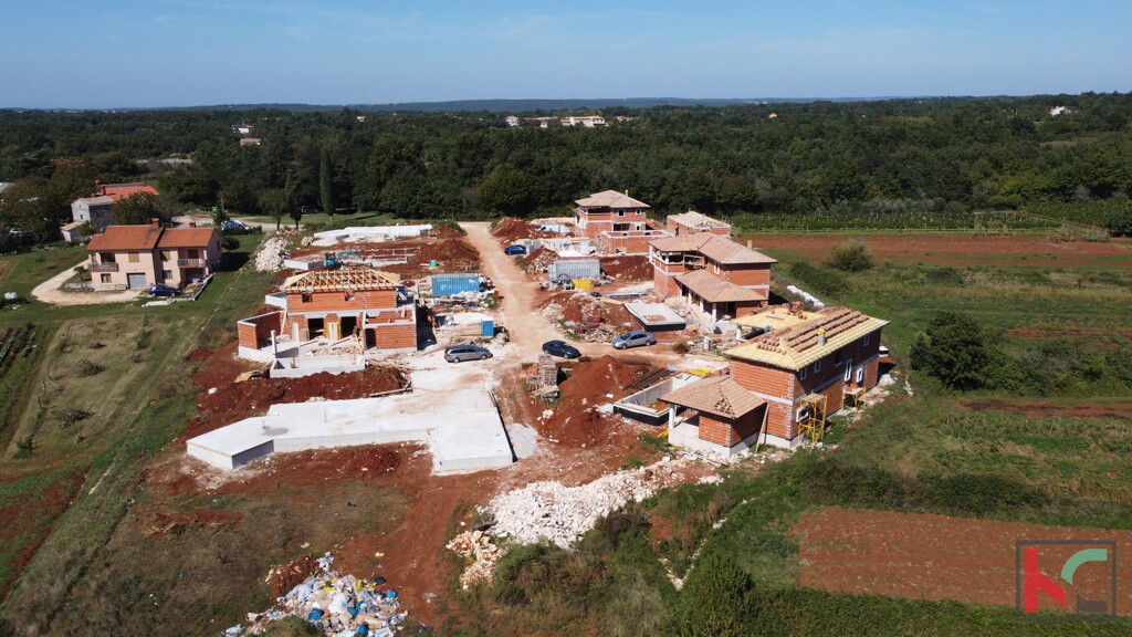 Image 6230736 - 9