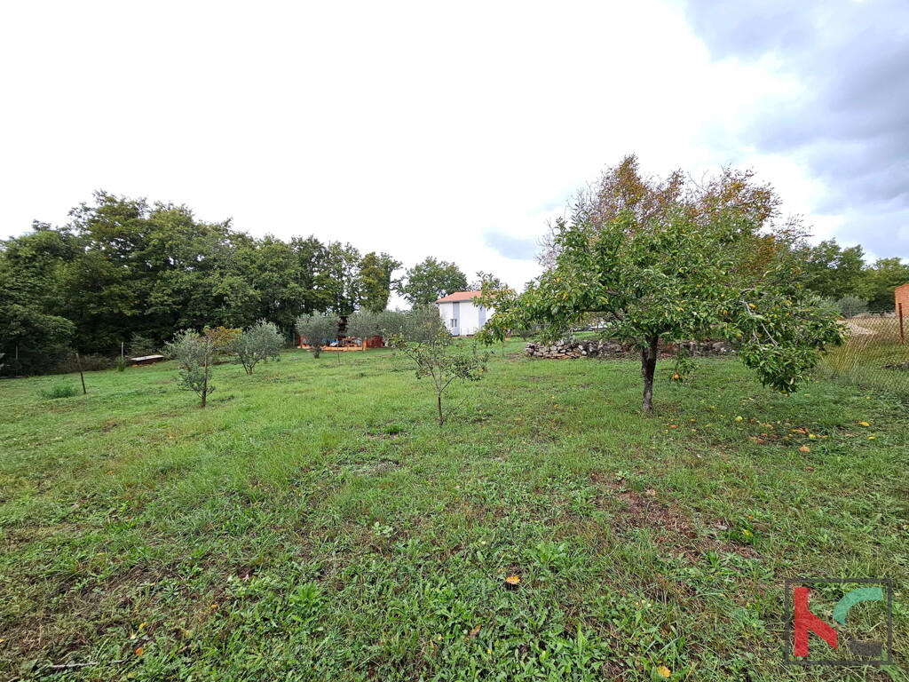 Image 6230739 - 1
