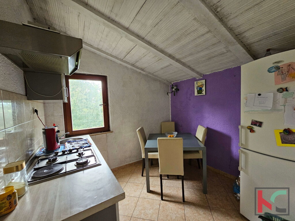 Image 6230739 - 12