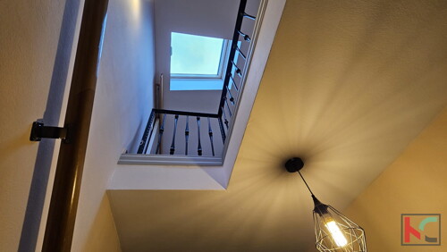 Thumbnail 6230741 - 14