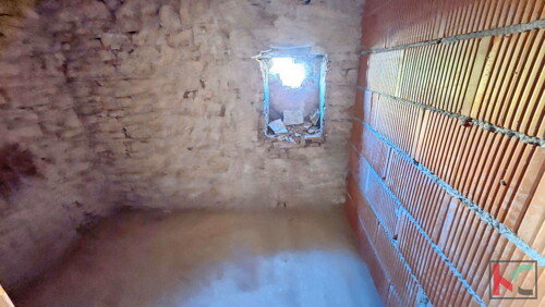 Thumbnail 6230742 - 4