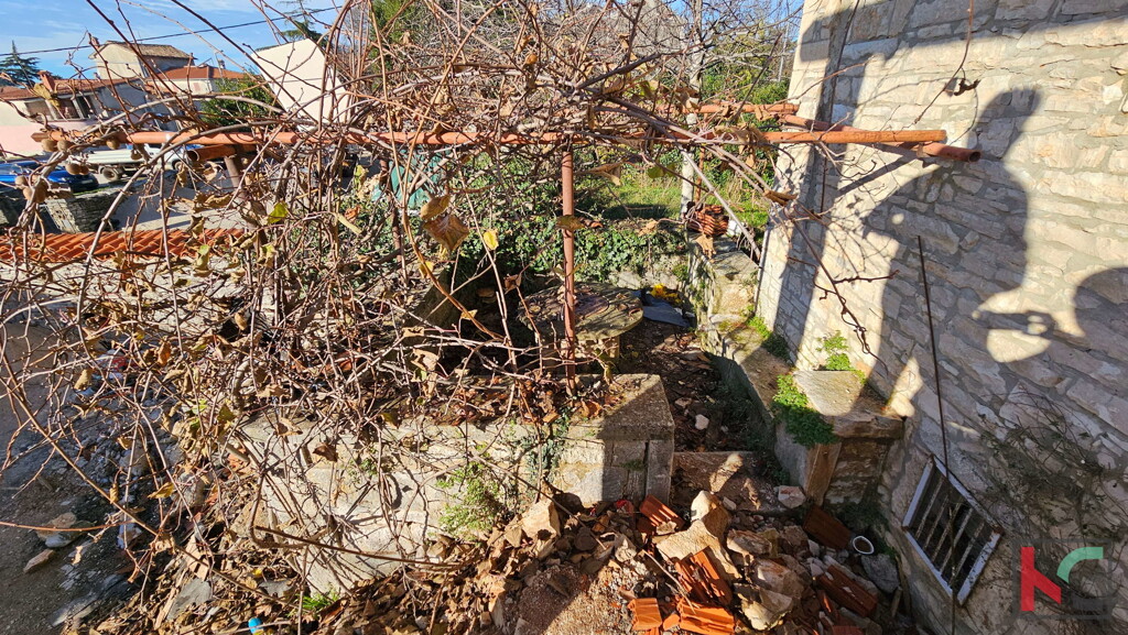 Image 6230742 - 11
