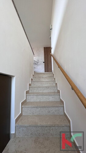 Thumbnail 6230748 - 12