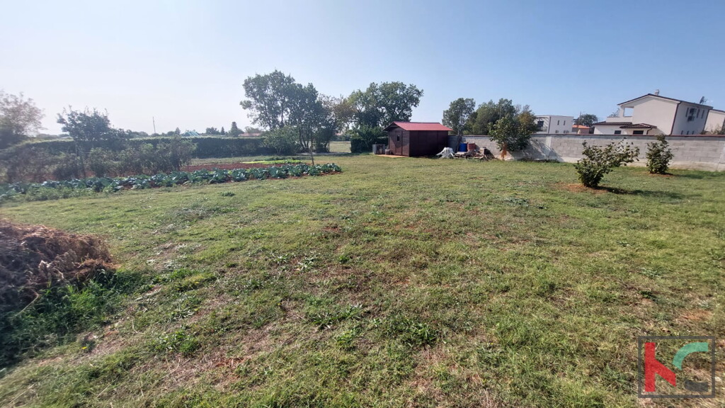Image 6230750 - 3