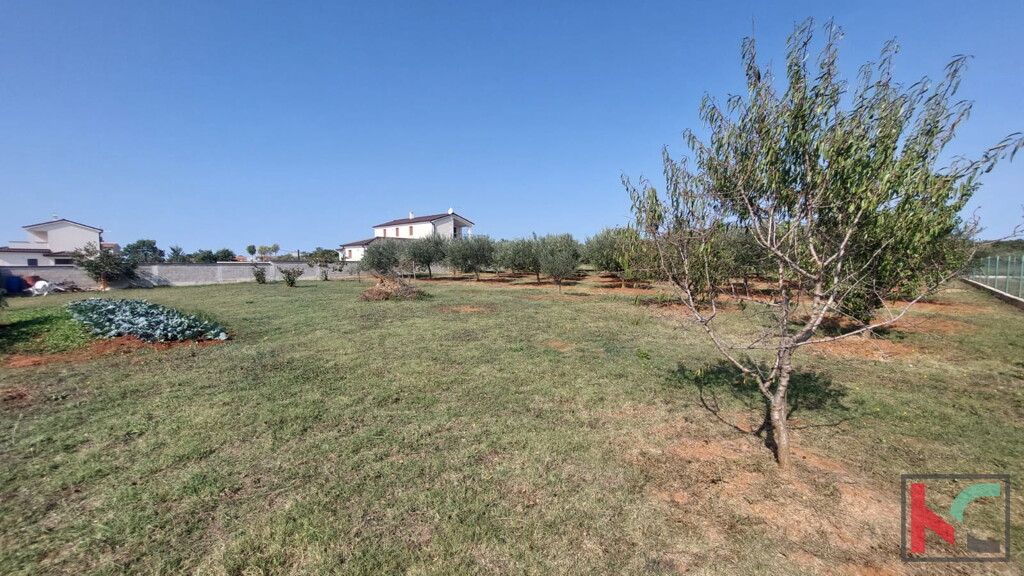 Image 6230750 - 2