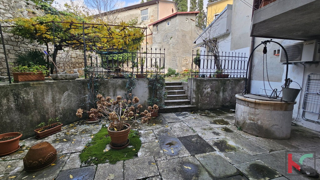Image 6230760 - 4
