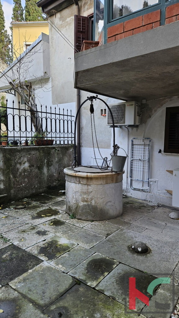 Image 6230760 - 17