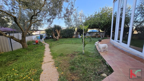 Thumbnail 6230762 - 7