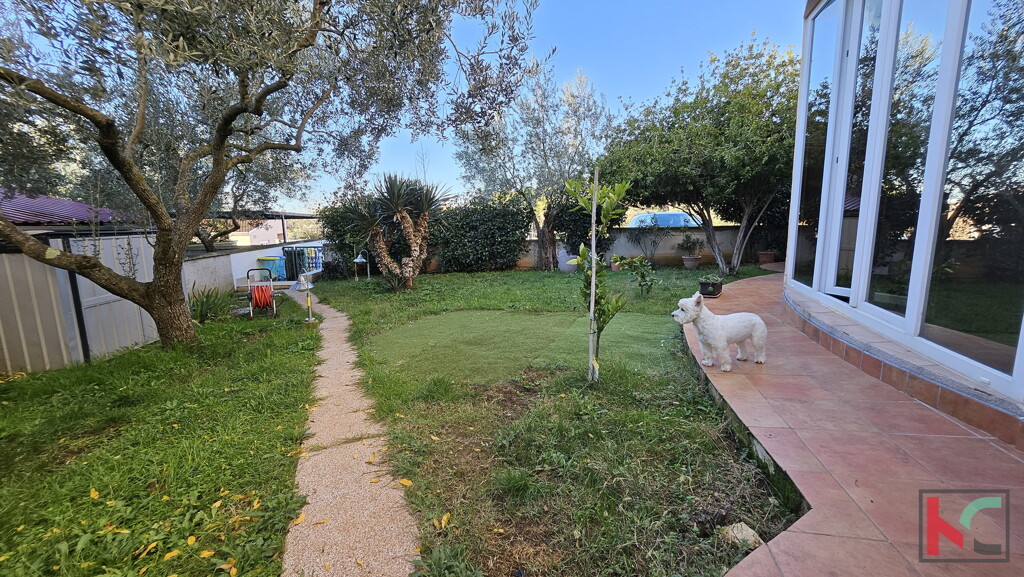 Image 6230762 - 7