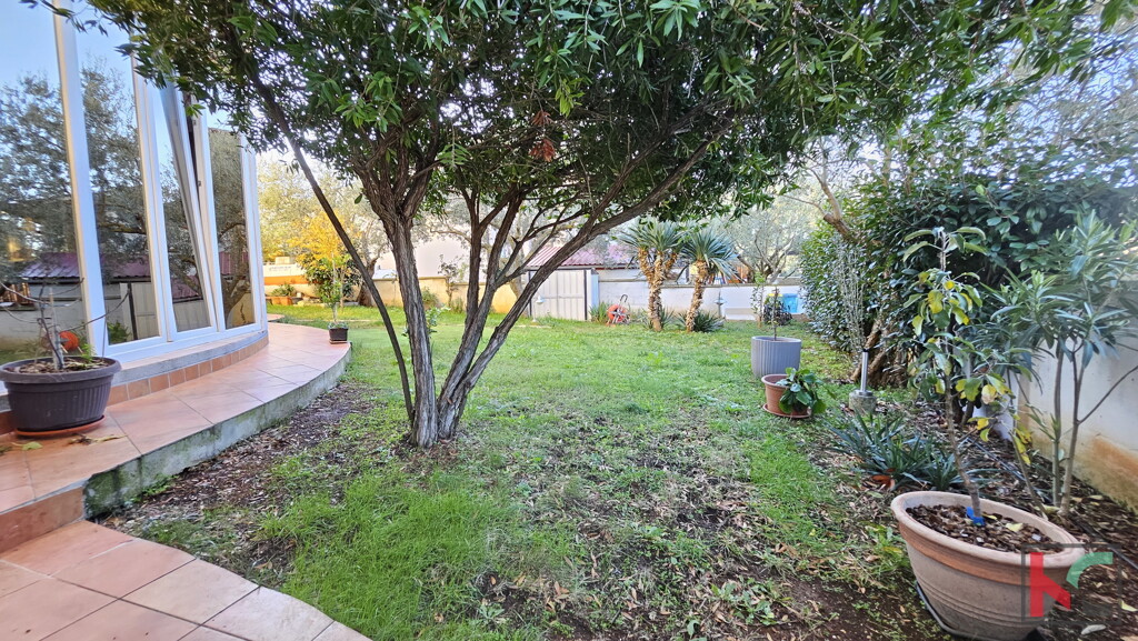 Image 6230762 - 9