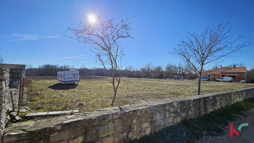 Image 6230764 - 2