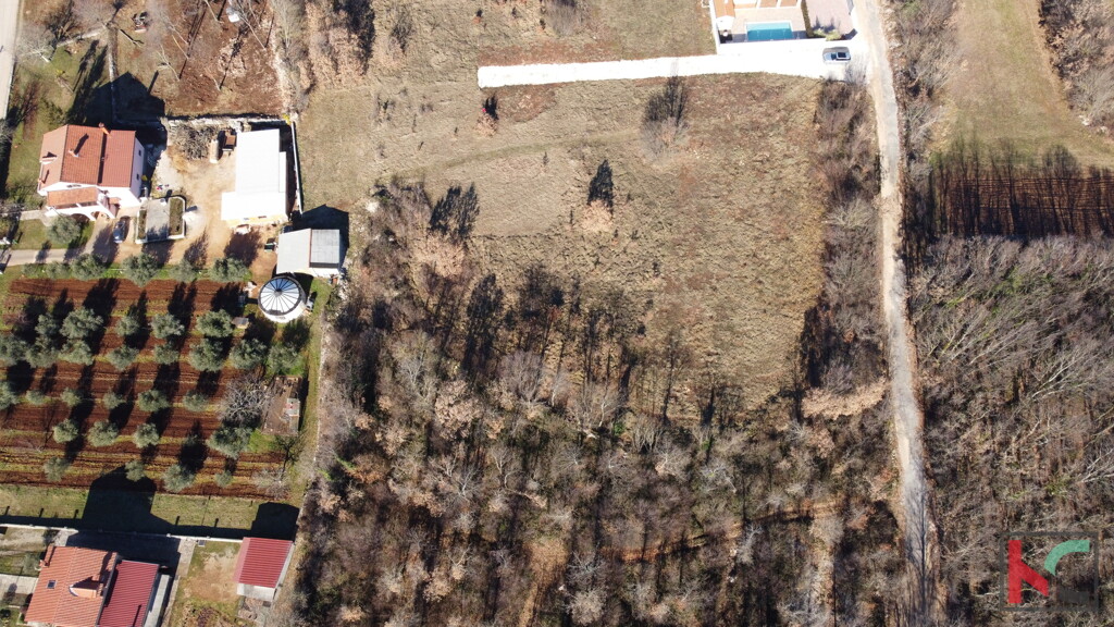 Image 6230766 - 4