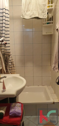 Thumbnail 6230767 - 13
