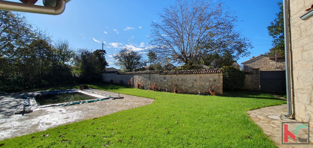Image 6230768 - 7