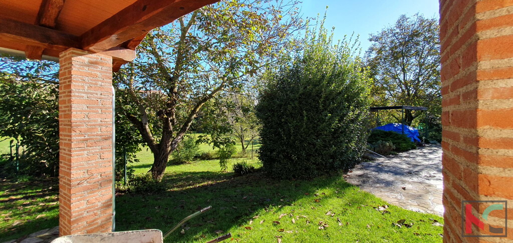 Image 6230768 - 6