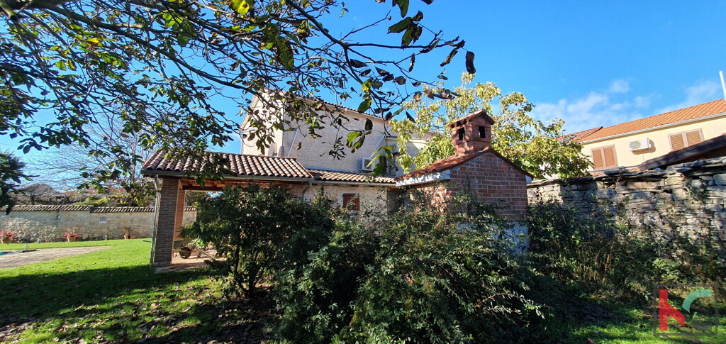 Image 6230768 - 4