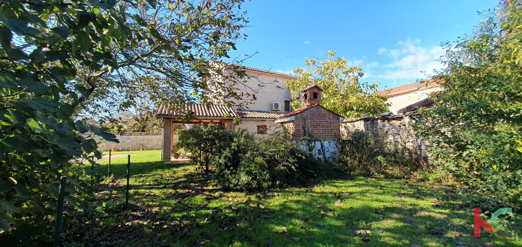 Image 6230768 - 1