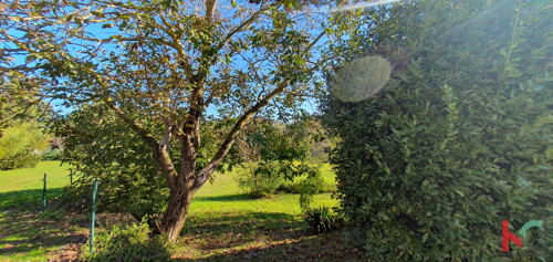 Thumbnail 6230768 - 8