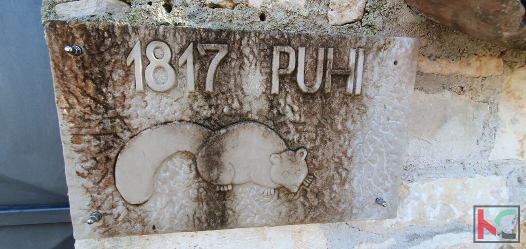 Image 6230768 - 2