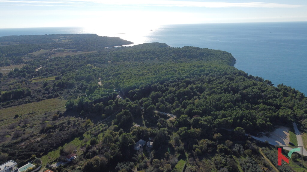 Image 6230771 - 2
