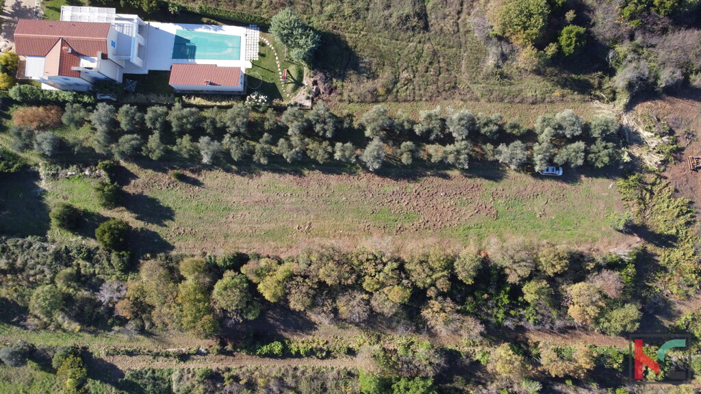 Image 6230771 - 1