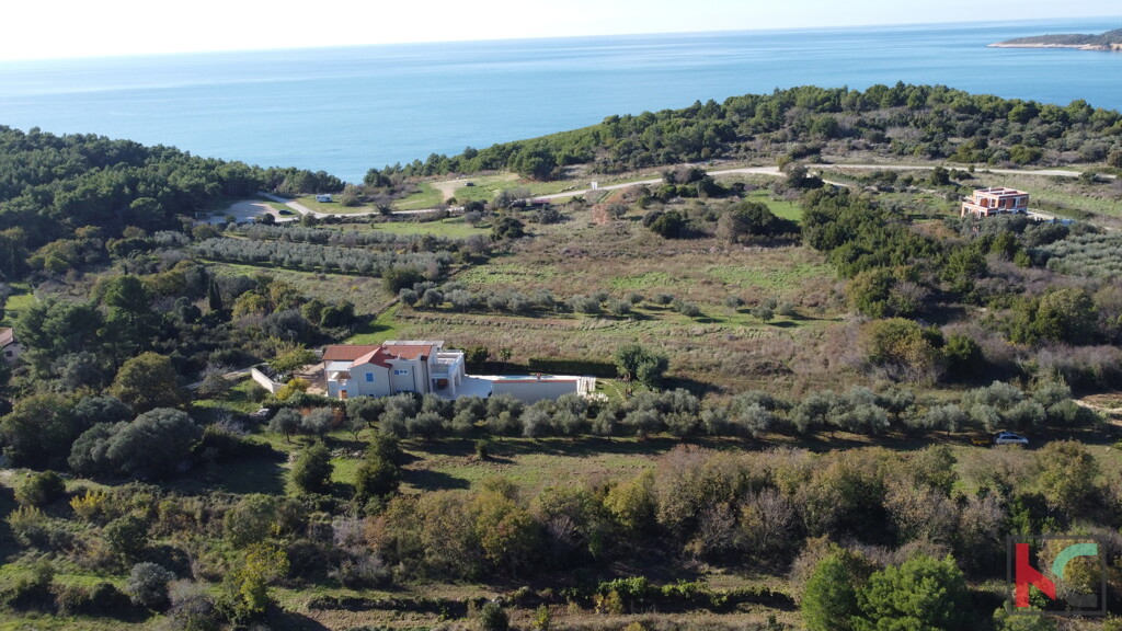Image 6230771 - 5