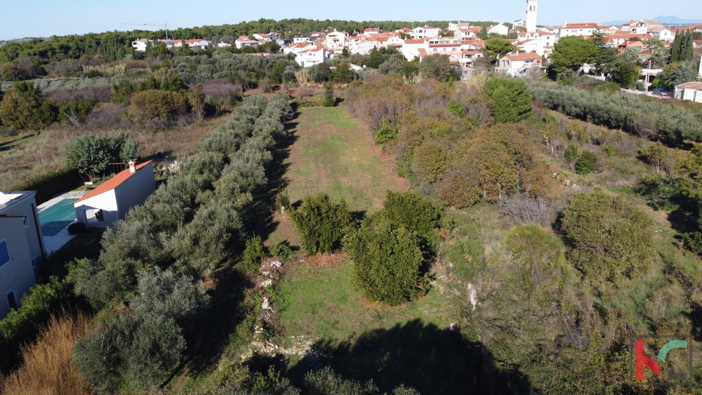 Image 6230771 - 6