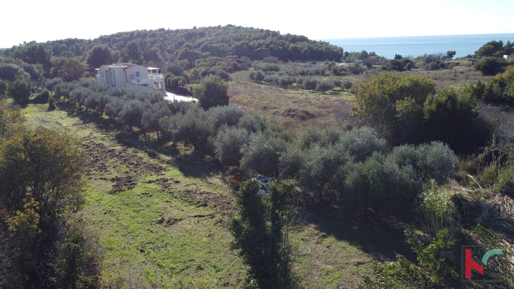 Image 6230771 - 7