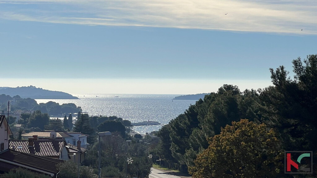 Image 6230772 - 1