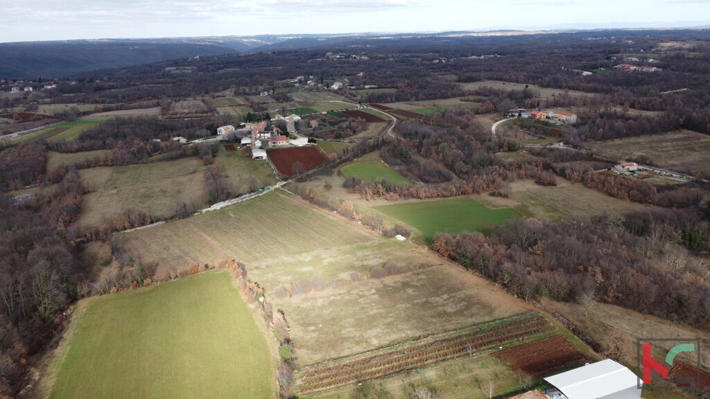 Image 6230776 - 3