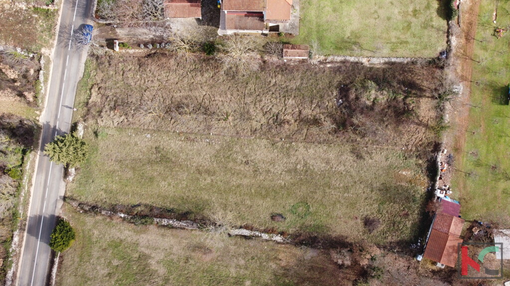Image 6230776 - 1