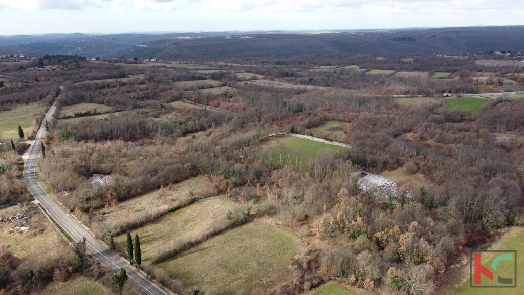 Image 6230776 - 2